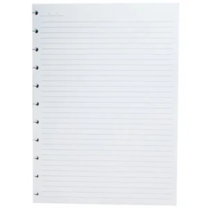 REFIL CADERNO DE DISCO 80 FOLHAS 18,5CM X 25,5CM